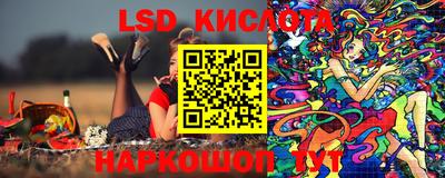 дживик Славгород