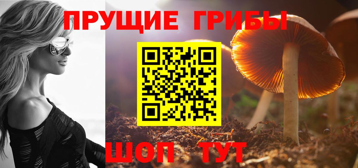 где купить наркотик  Галлюциногенные грибы Psilocybine cubensis  Протвино  Вход с VPN  Галлюциногенные грибы мицелий 
